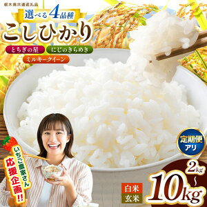 �y�ӂ邳�Ɣ[�Łz�Ȗ،����ʕԗ�i �󂠂� �I�ׂ� ����� ���� �R�V�q�J�� �����Ђ��� �Ƃ����̐� �ɂ��̂���߂� �~���L�[�N�C�[�� ���� ���� ���� ���p�b�N 2kg 4kg 5kg 10kg | �Ȗ،��Y �� 