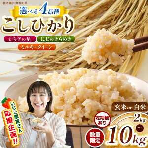 yӂ邳Ɣ[Łz 󂠂 Iׂ V   RVqJ Ђ Ƃ̐ ɂ̂߂ ~L[NC[ 2kg 4kg 5kg 10kg Đ^pbN | ʌ Ȗ،Y    R 