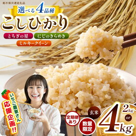 【ふるさと納税】【先行予約】選べる 新米 コシヒカリ こしひかり とちぎの星 にじのきらめき ミルキークイーン 2kg 4kg 真空パック | 数量限定 栃木県産 先行予約 玄米 米 こめ コメ ごはん いちご 那珂川町 共通返礼品 栃木県 楽天 限定 備蓄 美味しい