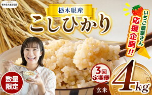 yӂ邳Ɣ[ŁzIׂ V   RVqJ Ђ Ƃ̐ ɂ̂߂ ~L[NC[ 2kg 4kg Đ^pbN | ʌ Ȗ،Y    R ͂  