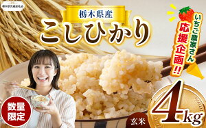 yӂ邳Ɣ[ŁzIׂ V   RVqJ Ђ Ƃ̐ ɂ̂߂ ~L[NC[ 2kg 4kg Đ^pbN | ʌ Ȗ،Y    R ͂  
