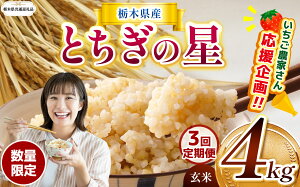 yӂ邳Ɣ[ŁzIׂ V   RVqJ Ђ Ƃ̐ ɂ̂߂ ~L[NC[ 2kg 4kg Đ^pbN | ʌ Ȗ،Y    R ͂  