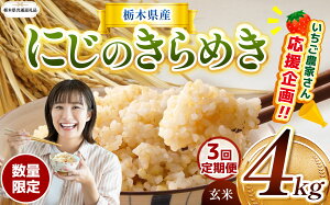 yӂ邳Ɣ[ŁzIׂ V   RVqJ Ђ Ƃ̐ ɂ̂߂ ~L[NC[ 2kg 4kg Đ^pbN | ʌ Ȗ،Y    R ͂  