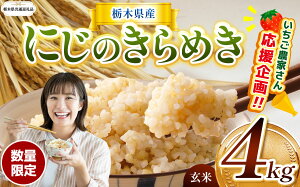yӂ邳Ɣ[ŁzIׂ V   RVqJ Ђ Ƃ̐ ɂ̂߂ ~L[NC[ 2kg 4kg Đ^pbN | ʌ Ȗ،Y    R ͂  