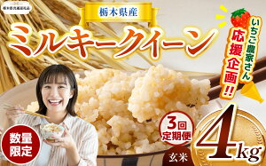 yӂ邳Ɣ[Łz 󂠂 Iׂ V   RVqJ Ђ Ƃ̐ ɂ̂߂ ~L[NC[ 2kg 4kg Đ^pbN | ʌ Ȗ،Y    R ͂