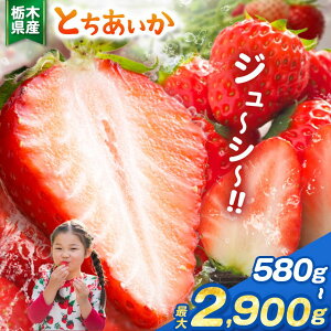 yӂ邳Ɣ[Łz   Iׂ Ƃ 嗱 VN Â Hה   ʕ ʕԗi t[c fU[g Ȗ،ʕԗi Iׂ e Ƃ 580g ` 2900g | Ȗ