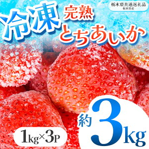 yӂ邳Ɣ[Łzy2026N6s\z  Iׂ n Ⓚ Ƃ  C`S  t[c ʕ 1kg 2kg 3kg 󂠂 s | Iׂ Ⓚ XC[c W X[W[ Ղ 