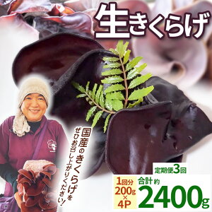 yӂ邳Ɣ[ŁzyIׂցEeʁzyԌzy2026N7s\z炰 200g Ƃ_ | 炰 炰 H@ S JVE r^~D JE A~m_