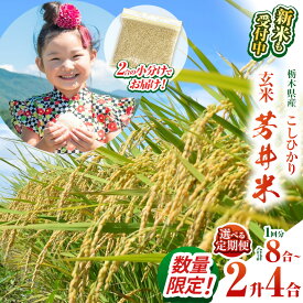 【ふるさと納税】 新米 こしひかり コシヒカリ 玄米 訳あり 米 お米 こめ コメ ごはん ふっくら もちもち 330g（2合分）×4、8，12 定期便あり | 芳井米ふるさと納税 美味しい お弁当 おにぎり おいしい 数量限定 ご飯 期間限定 栃木県 那珂川町