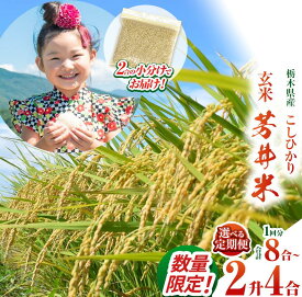 【ふるさと納税】 こしひかり コシヒカリ 玄米 訳あり 米 お米 こめ コメ ごはん ふっくら もちもち 330g（2合分）×4、8，12 定期便あり | 芳井米ふるさと納税 美味しい お弁当 おにぎり おいしい 数量限定 ご飯 期間限定 栃木県 那珂川町