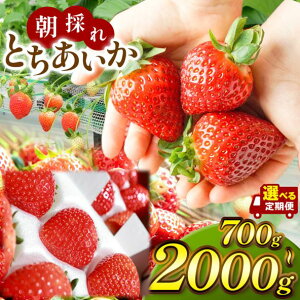 yӂ邳Ɣ[Łz    C`S  Ƃ Iׂ Iׂ 󂠂 s Ղ   |  ̂ 嗱 VN Â  ʕ fU[g Ȗ،