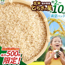 楽天市場】栃木の星 玄米の通販