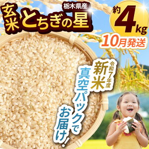 yӂ邳Ɣ[ŁzV ܂    R ͂ ߘa7N V ʌ Ȗ،ʕԗi Ȗ،YƂ̐ 2kg 2kg×2iĐ^pbNj | ӂ邳Ɣ[ ߉ϐ쒬 Ȗ،  