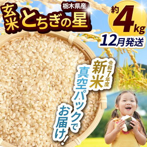 yӂ邳Ɣ[ŁzV ܂    R ͂ ߘa7N V ʌ Ȗ،ʕԗi Ȗ،YƂ̐ 2kg 2kg×2iĐ^pbNj | ӂ邳Ɣ[ ߉ϐ쒬 Ȗ،  