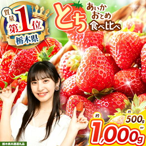 yȖ،ʕԗizyӂ邳Ɣ[Łzys\zyIׂeʁz ƂƂƂ Hה 500g`1000g|  Ƃ 嗱 VN Â Hה    ʕ 