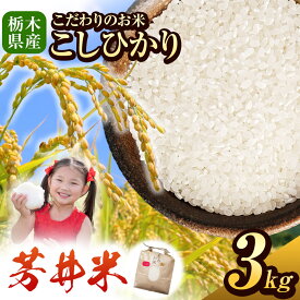 【ふるさと納税】那珂川町産コシヒカリ芳井米 3~9kg 数量限定 新米 令和7年度産 こしひかり コシヒカリ お米 米 こめ コメ 精米 美味しい 白米 人気 那珂川町 農家 直送 定期便あり | 選べる内容量 とちぎ 玄米 共通返礼品 訳あり 送料無料 那珂川町 栃木県