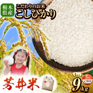 yӂ邳Ɣ[Łz߉ϐ쒬Y V RVqJ Ђ F 3~9kg   ߘa7NxY    R    lC ߉ϐ쒬 _  ւ | Iׂe Ƃ