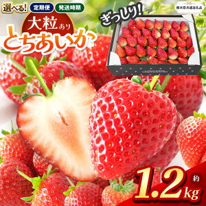 yӂ邳Ɣ[ŁzyȖ،ʕԗizys\zIׂ锭E Ƃ 1.2kg |󂠂  Ƃ  TCYs 嗱 Â ʌ ʕ ʕԗi t[