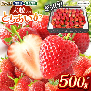 yӂ邳Ɣ[ŁzyȖ،ʕԗizys\zIׂ锭 Ƃ 500g |󂠂  Ƃ  s 嗱 Â   ʕ ʕԗi t[c fU[g 
