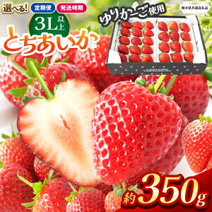 yӂ邳Ɣ[ŁzyȖ،ʕԗizys\zIׂ锭 Ƃ 3Lȏz[l 350g |󂠂  Ƃ M  s 嗱 VN Â ʌ ʕ 