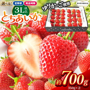 yӂ邳Ɣ[ŁzyȖ،ʕԗizys\zIׂ锭 Ƃ 3Lȏz[l 700g |󂠂  Ƃ M TCY s 嗱 VN Â ʌ ʕ ʕ