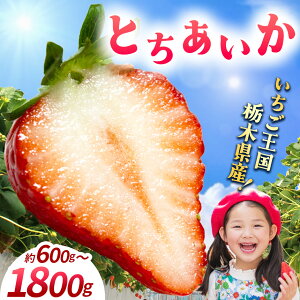 yӂ邳Ɣ[Łzys\zyԌz  C`S  lC  E ߉ϐ쒬Y 嗱 Ƃ Iׂ O Iׂ锭 300gȏ×2 300gȏ×2×2 300gȏ×2×3 | W[V[ 