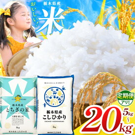 【栃木県共通返礼品】【令和7年度】【選べる定期便！】栃木県産とちぎの星 5kg~30kg |定期便 選べる ふるさと 納税 とちぎの星 お米 精米 白米 玄米 大粒 共通返礼品 送料無料 那珂川町 栃木県