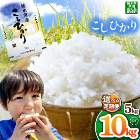 【栃木県共通返礼品】【令和7年度】【選べる定期便！】栃木県産コシヒカリ 5kg~30kg |定期便 選べる ふるさと 納税 コシヒカリ お米 精米 白米 玄米 大粒 共通返礼品 送料無料 那珂川町 栃木県