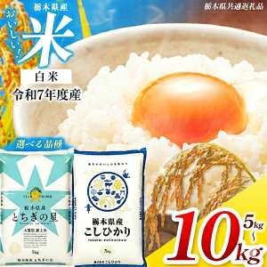栃木県産 コシヒカリ」の人気商品一覧・価格比較 - 価格.com