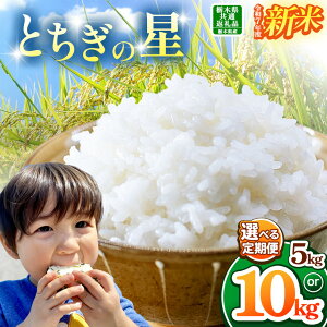 yȖ،ʕԗizyߘa7NxVāzyIׂցIzȖ،YƂ̐ 5kg~30kg | Iׂ 10 11 12 ӂ邳 [ Ƃ̐     嗱 ʕ