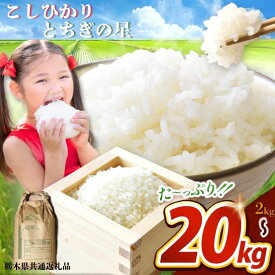 【ふるさと納税】栃木県共通返礼品 楽天限定 数量 限定 人気 選べる 米 お米 こめ コメ コシヒカリ こしひかり とちぎの星 精米 美味しい 白米 玄米 数量限定 令和7年度 栃木県産 | 送料無料 栃木県 那珂川町 期間限定