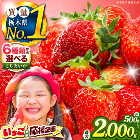【ふるさと納税】とちあいか いちご 選べる種類(6種)・内容量・定期便 | 定期便 2,3回 2026年 先行予約 訳あり 苺 イチゴ サイズ不揃い 大粒 甘い 贈答用 数量限定 果物 フルーツデザート 人気 贅沢 たっぷり 大容量 年内発送 栃木県 那珂川町 送料無料【栃木県共通返礼品】
