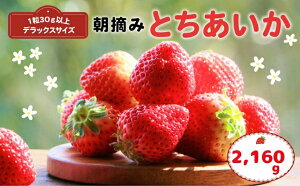 yӂ邳Ɣ[Łzys\z߉ϐ쒬YƂ Iׂe | 2026N s\  C`S 嗱 Â p ʌ ʕ t[cfU[g lC ґ Ղ e ̂ꓖ