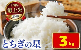 【ふるさと納税】令和7年新米 石井米（とちぎの星）選べる内容量 3~9kg | 3kg 4.5kg 9kg ふるさと納税 とちぎの星 那珂川町産 美味しい お弁当 おにぎり おいしい 数量限定 ご飯 送料無料 栃木県 那珂川町