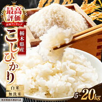 楽天市場】栃木県産 こしひかりの通販