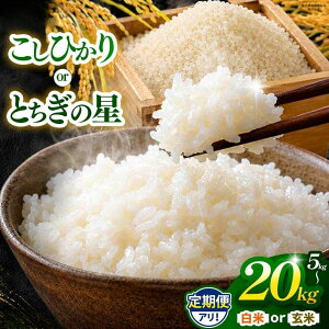 �y�ӂ邳�Ɣ[�Łz �� ���� ����� ��5kg ��10kg ��s�\�� �Ȗ،����ʕԗ�i �R�V�q�J�� �Ƃ����̐� ���� ���� �ߘa8�N�x�Y 5kg 10kg 15kg 20kg | �����Ђ��� �R�V�q�J�� �Ƃ����̐� ���� �� okome kome ��