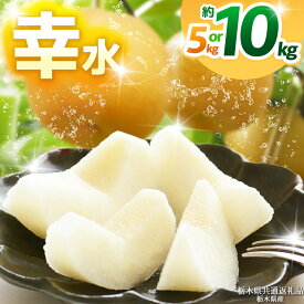 【ふるさと納税】【選べるグラム数】【2027年8月中旬先行予約】幸水 約5kg 10kg | 梨 なし ナシ 新品種 先行予約 大粒 新鮮 甘い 美味しい 果物 くだもの フルーツ ふるーつ 共通返礼品 フルーツ デザート【栃木県共通返礼品】栃木県 那珂川町