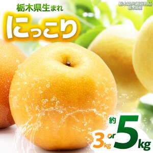 yӂ邳Ɣ[ŁzyȖ،ʕԗizy2026Ns\zyIׂOzɂ 3kg 5kg |ɂ  Ȃ iV Vi s\ 嗱 VN Â  ʕ  t[c 