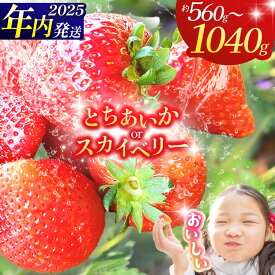 【栃木県共通返礼品】【2025年先行予約】【選べる品種】【選べるグラム数】とちあいか スカイベリー 260g×4P 280g×2P 1040g 560g| 年内発送 果物 くだもの 苺 イチゴ いちご とちあいか 新鮮 甘い 数量 限定 美味しい 果物 フルーツ デザート 栃木県 那珂川町 送料無料