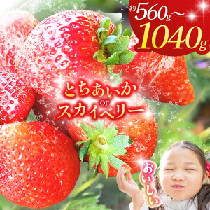 【栃木県共通返礼品】【2026年先行予約】【選べる品種】【選べるグラム数】とちあいか スカイベリー 260g×4P 280g×2P 1040g 560g| 果物 くだもの 苺 イチゴ いちご とちあいか 新鮮 甘い 数量 限定