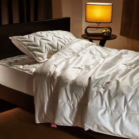 【ふるさと納税】”もっとシルクを身近に”　シルクスキン掛け布団カバー（クィーン） | 寝具 日用品 人気 おすすめ 送料無料