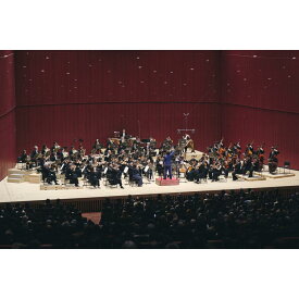 【ふるさと納税】群馬交響楽団演奏会特別鑑賞回数券（1回1名様分） | 券 人気 おすすめ 送料無料