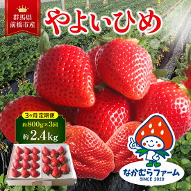 【ふるさと納税】いちご【定期便／3ヵ月連続お届け】『やよいひめ』約800g×3回（総量2.4kg）