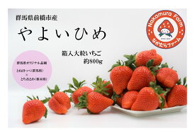 【ふるさと納税】A-153　群馬県前橋市産いちご　『やよいひめ』　約800g【2023年群馬県いちご品評会入賞！】