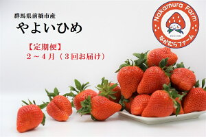 yӂ邳Ɣ[Łzs2026s\tyց^3A͂zQnOsY@w悢Ђ߁x@800g×3i2.4Kg)y2025NQni]܁Iz