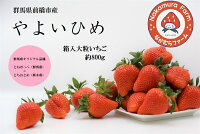 【ふるさと納税】いちご『やよいひめ』約800g【2025年群馬県いちご品評...