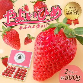 【ふるさと納税】いちご やよいひめ 約800g いちご品評会最高金賞受賞 2026年 先行予約｜高評価 若手 農業者 完熟 新鮮 朝採れ やみつき 大粒 人気 高品質 たっぷり 贈答 新鮮 完熟 いちご 旬 産地直送 甘い あまい 人気 高評価 高糖度 ごほうび プレゼント 群馬県 前橋市