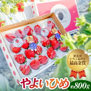 yӂ邳Ɣ[Łz2026N s\񁄂i] ō܎ 悢Ђ  800gb̂ ݂ 悢Ђ i Ղ p VN n  {   Yn ʏ` 