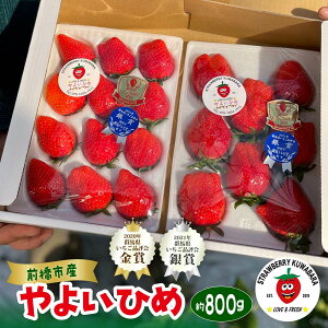 yӂ邳Ɣ[Łz2026N s\񁄂i] ō܎ 悢Ђ  800gb̂ ݂ 悢Ђ i Ղ p VN n  {   Yn ʏ` 