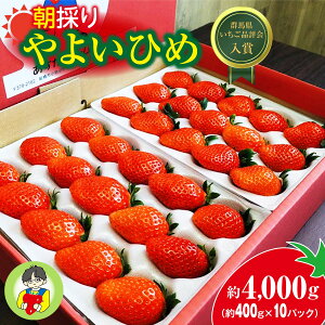 yӂ邳Ɣ[Łz2026N s\񁄂悢Ђ400g × 10pbN 4kgbRN Â ̂ 悢Ђ 嗱 Â _ oX p VN n  {  Xgx[ Yn ʏ` Â 